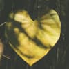 Peaceful Heart