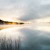Pond Reflection