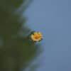 Being Present