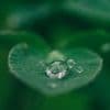 Weight of Water