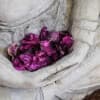 Welcoming in Compassion