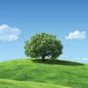 Mindfulness for Relaxation