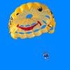 Who Packed Your Parachute?