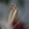 Awareness of Body