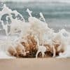 Beach Imagery - Sleep with Ocean Sounds