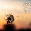 A Judgmental Mind Meditation