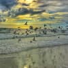 Soundscape Meditation for Change