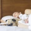 Fall to Sleep - Guided Meditation