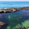 The Mermaid Pool