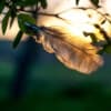Light as a Feather... Float Away...