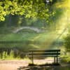 My Peaceful Place