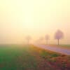 Inner Peace and Deep Relaxation