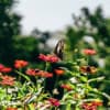 Overcome the Fear of Flying - Taking Back Control - Hypnosis