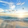 Lose Weight Hypnosis