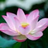 Let's Sit Together to Reduce Stress and Anxiety