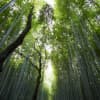 Meditation for Starting Over