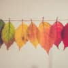 Impermanence Meditation