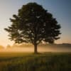 Standing Mindfully