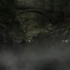 The Amazon Project