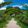A Nascent Garden