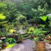 Breathing Space Coping with Difficulty