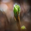 Take Intentional Action - New Beginnings