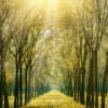 Leaving Connected-Mindful 3 Breaths