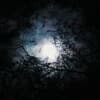Shadow of the Moon