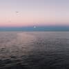 East of the Sun and West of the Moon