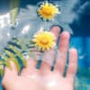 Self Compassion Check-In