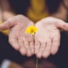 Befriending and Self-Compassion