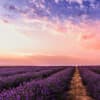 Allowing Experience to Come to You