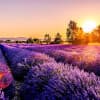 Create Inner Peace & Calm