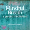 Mindful Breath - in This Moment