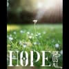 Hope for Us All: Talk + Meditation