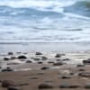 Rock, Pebbles, Sand & Water